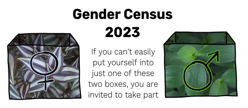 Image title: Gender Census 2023. Image text: If you can't easily put yourself into just one of these two boxes, you are invited to take part. On the left, a box textured with purple and silver striped leaves, featuring a Venus/female symbol. On the right, a box textured with plain soft green leaves, featuring a Mars/male symbol.