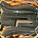 hymneminium