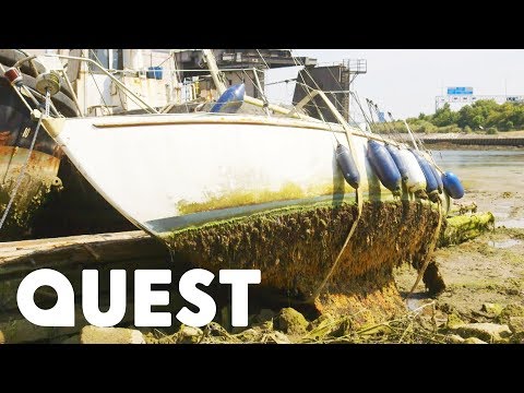 Crew Declare Dilapidated Boat Beyond Repair | Scrap Kings