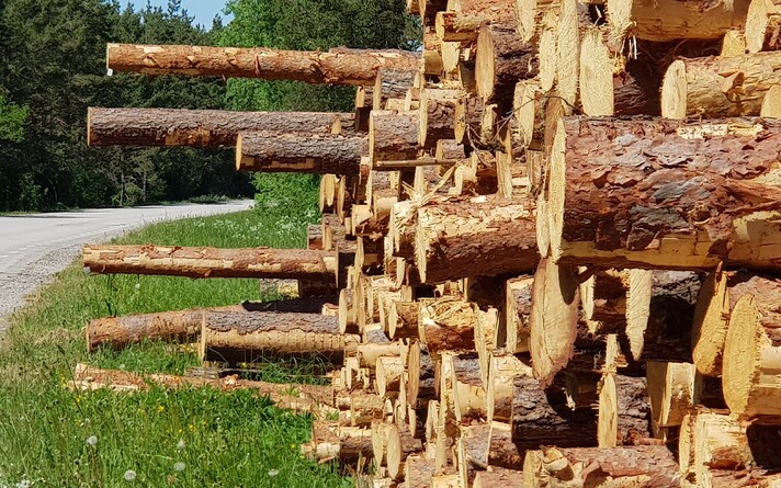 Pine logs.