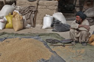 File - A local Afghan man sits in front of his fertilizer shop, during Operation Rig Battle Field Circulation on Forward Operating Base How-E-Madad, of Kandahar district, Afghanistan, Dec. 5, 2010.