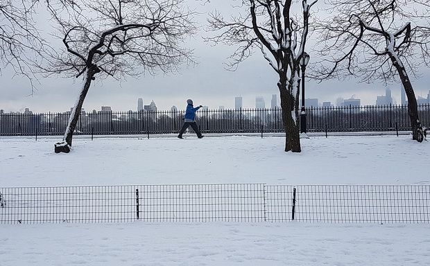 In photos: Central Park in the snow on St David's Day, New York, March 2019