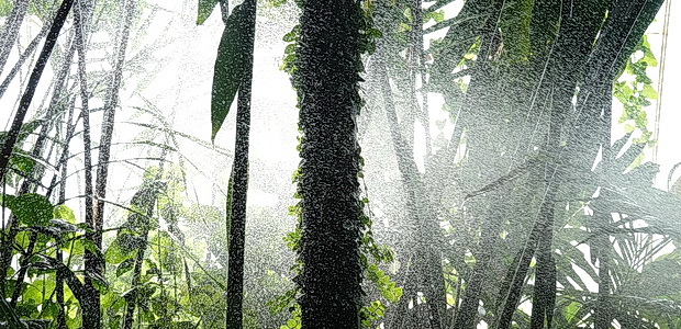 Fifty photos of the wonderful Kew Gardens including the Palm House, treetop walkway and amazing plants