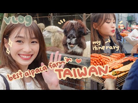 where to visit in Taipei?? - Take me to Taiwan ♥️🇹🇼 | SPEISHI