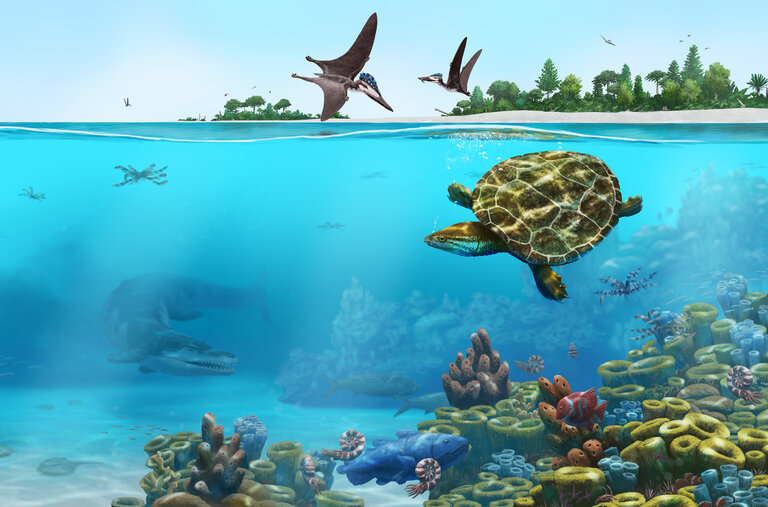 An artistic reconstruction of Solnhofia parsonsi in its Late Jurassic environment, when Bavaria was a tropical archipelago with sponge reefs.