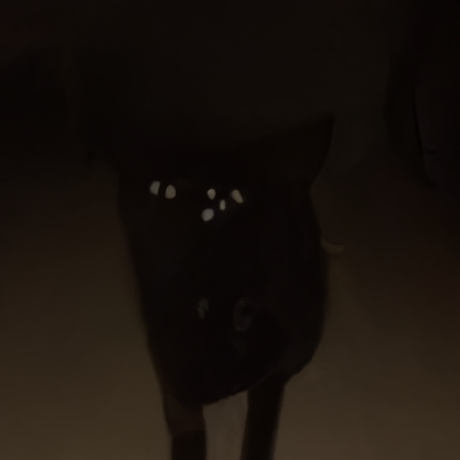 [Description] A cat standing in a dark room with its head turned to the right. Its eyes are closed and it has its mouth open. Its fur is wet [Text]