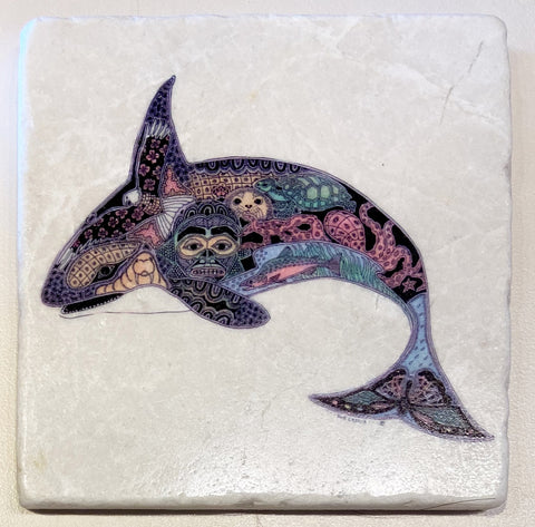 Sue Coccia Orca Coaster