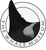 The Whale Museum