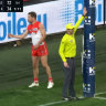 The goal umpire’s call.