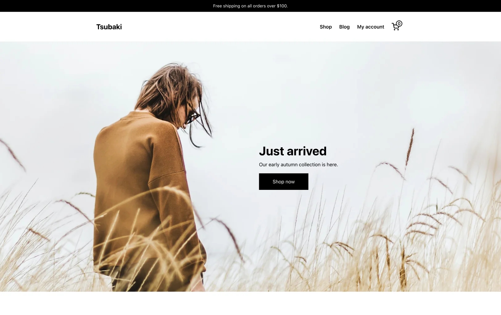 Store Theme