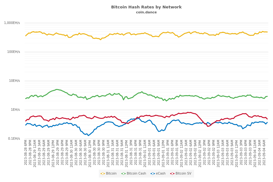 Bitcoin Hash Rates by Network