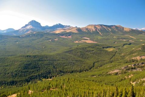 ‘One Hell of a Fight’: Coal Miners Again Target Alberta’s Rockies