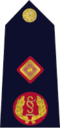 Rank insignia of Garda Deputy Commissioner