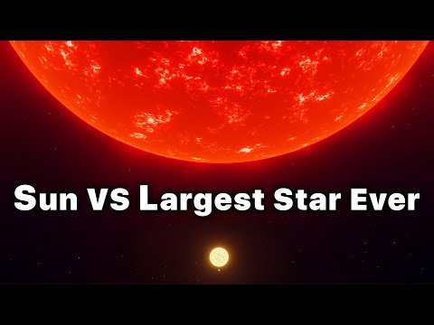 SUN vs. The Largest Star In The Universe