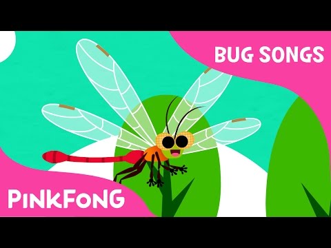 D-D-D-Dragonfly | Bug Songs | Pinkfong Songs for Children