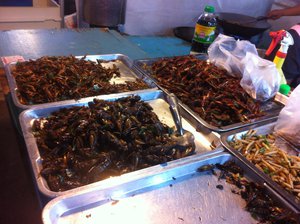 Insects Foods in Thailand