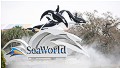 SeaWorld claims bias