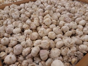 Garlic was found in Supermarket, Batam, Indonesia