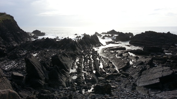 Near Hartland Quay, early June