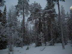 And Lapland