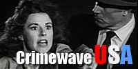 Crimewave USA