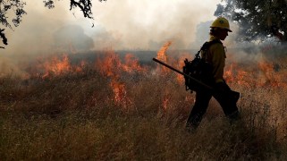 Controlled burns where part of a field is on fire, with one person walking by