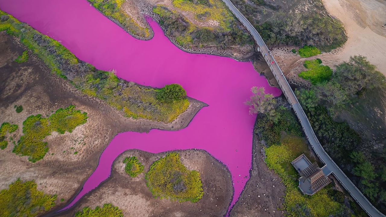 The pond at the Kealia Pond National Wildlife Refuge in Maui, Hawaii, turned pink.