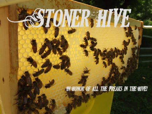 Stoner HiVe