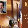 Wisconsin Kangaroos Are Hopping Mad Over Gerrymandering Case