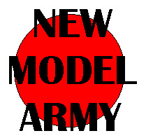 NEW MODEL ARMY