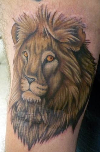 lion tattoos