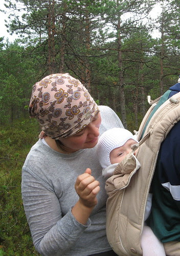 Forageing for cloudberries and wild mushrooms / Murakaid ja seeni korjamas