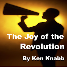 the joy of the revolution by ken knabb