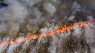 Smoke daples the bird's eye view of a field. A red line of strikes through the middle. On one side is burnt. The other side is muted green.