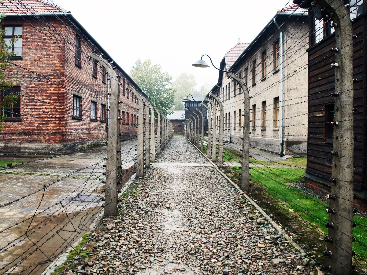 The Fawns of Auschwitz