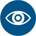 Government Surveillance Icon