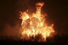 During Black Summer 2019-20 there near simultaneous assault of fire along the eastern seaboard.