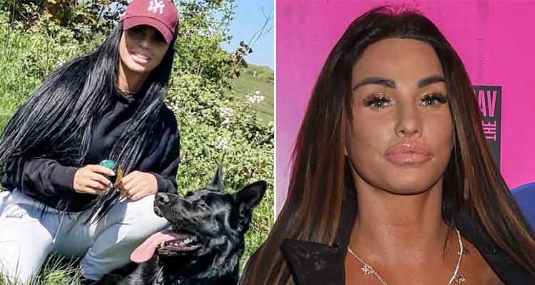 Latest News What Happened to Katie Price Dog