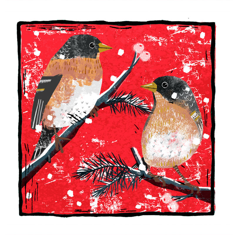 Soil Association Bramblings Christmas Card