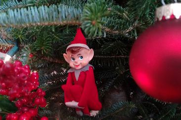 elf on the shelf