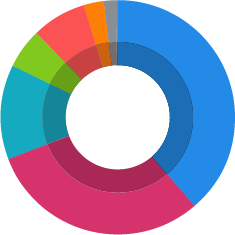 2020 Ethnicity breakdown