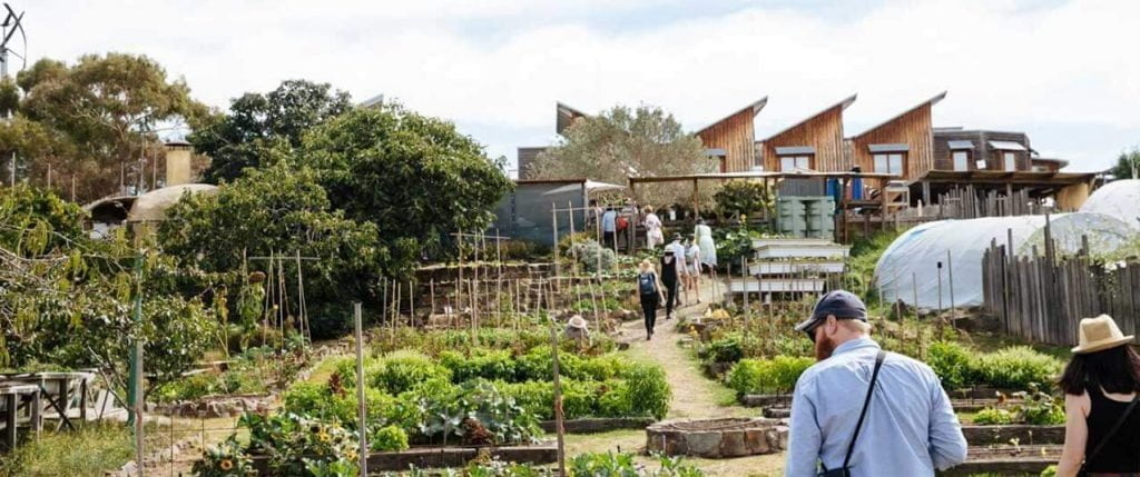 People, farm, greenery, CERES, vegetables