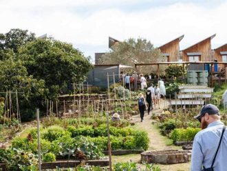 People, farm, greenery, CERES, vegetables