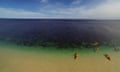 Kayakers setting off from beach into Coral Bay at Ningaloo Reef marine park, Western Australia.