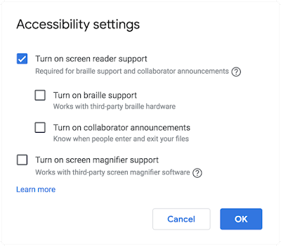 The accessibility settings dialog showing screen reader, braille, and screen magnifier support options.