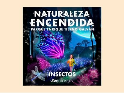 'NATURALEZA ENCENDIDA'. Descubre 'Insectos'. Hasta el 21 de enero en Madrid.  