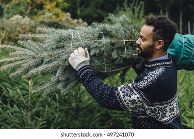 Young adult man choosing a Christmas tree at the farm outdoors Stock Photo