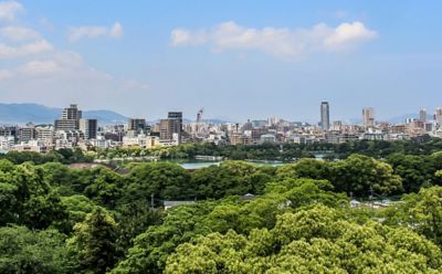 Trees and city in the background