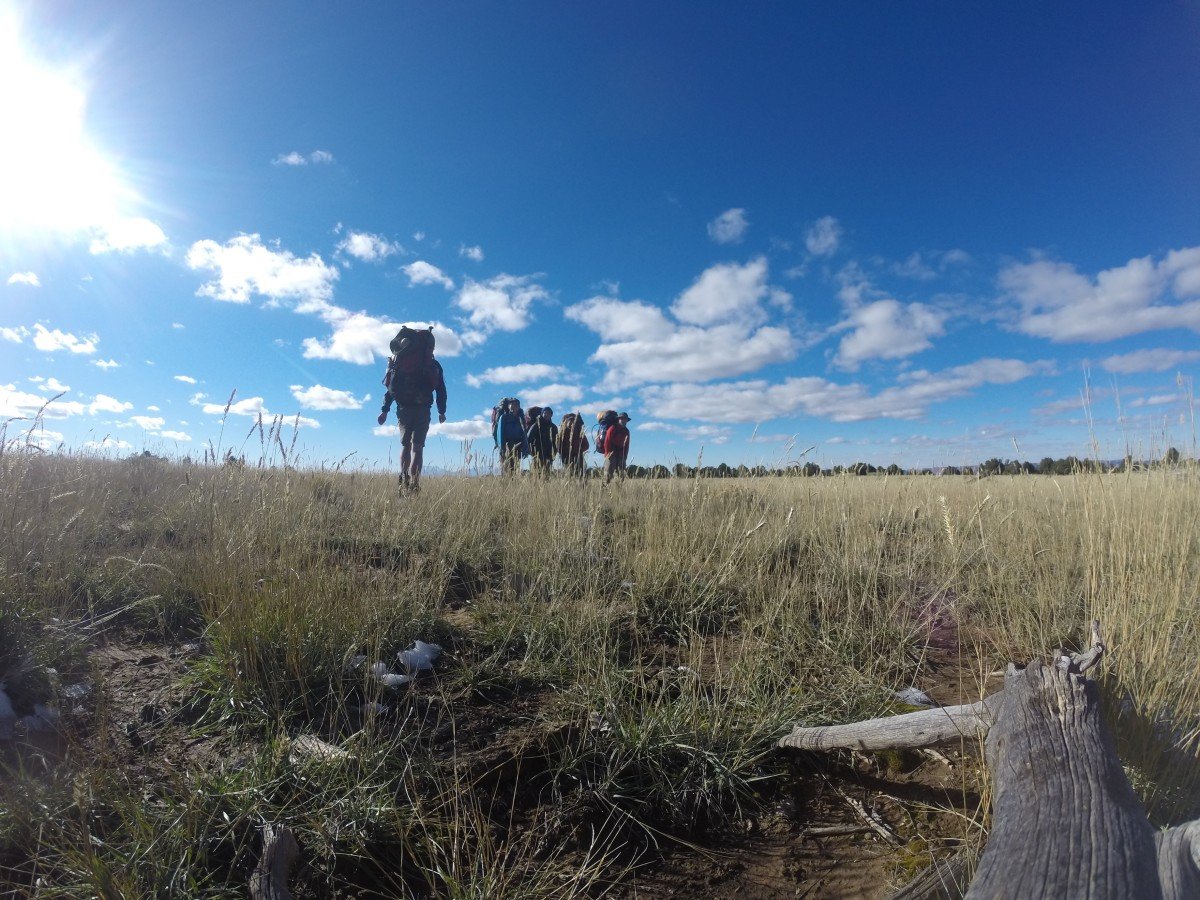 Backpackers hiking through grasslands