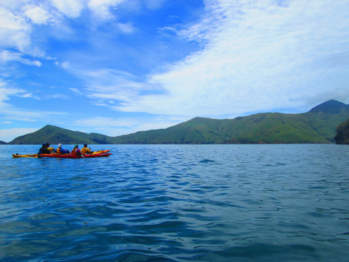 Kayakers on the coast with green hills in the background